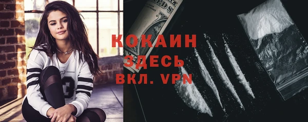 сатива Зерноград