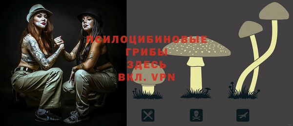 сатива Зерноград
