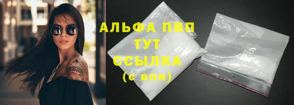 сатива Зерноград
