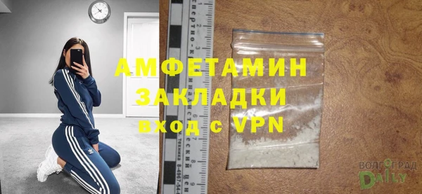 сатива Зерноград