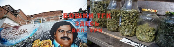 сатива Зерноград
